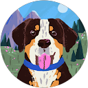 Kaiss H. profile picture
